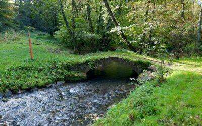 Am Angerbach in Ratingen