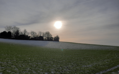 Von E-Werden bis zur Straußenfarm und zurueck