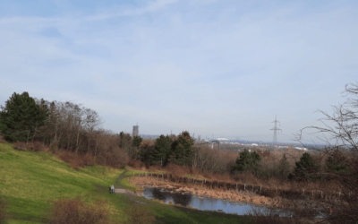Schurenbachhalde