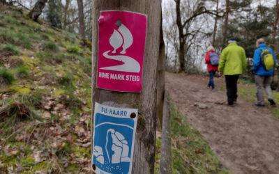 Wanderung in der Haard