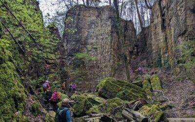 Wandertage 2023 im Muellerthal