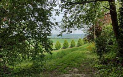 Von Werden über Heidhausen und Oefte bis zum Baldeneysee