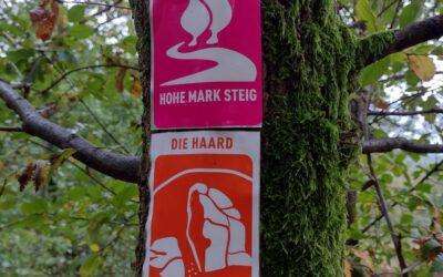 Oktoberwanderung in der Haard
