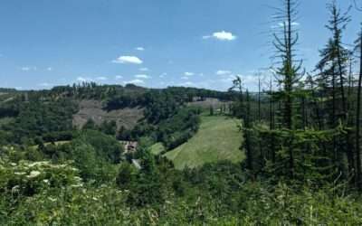 Hülsenbecker Tal in Ennepetal