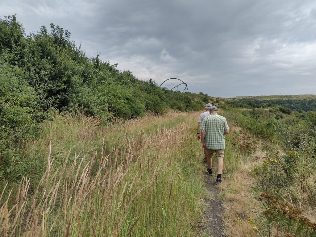 üppige Vegetation am Wegesrand