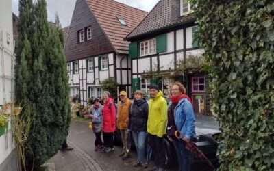 Vom Schloss Berge zum Dorf Westerholt im Nov. 2024