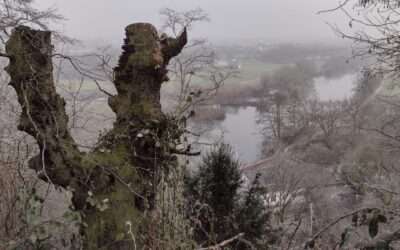 Ruht-to-Tal Rundwanderung Januar 2025