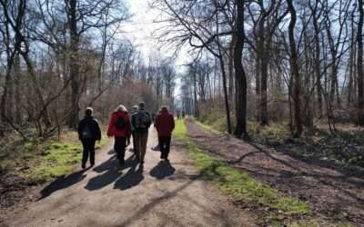 Hülser Bruch in Krefeld im März 2025