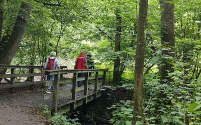 Wanderung Juni 2025 ins Mülheimer Rumbachtal