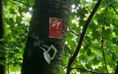 Juliwanderung 2025 im Bergischen