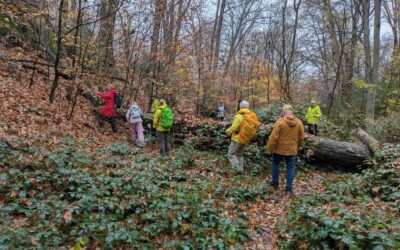 Wanderung im Asbachtal November 25