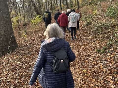 Teilnehmende beim Walken light