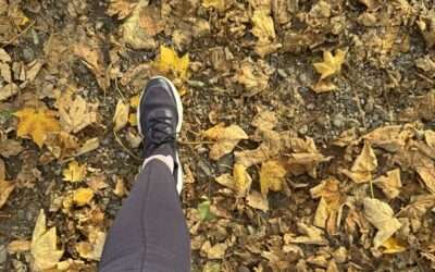 Neue Aktivität von Gut-drauf! – Walken light