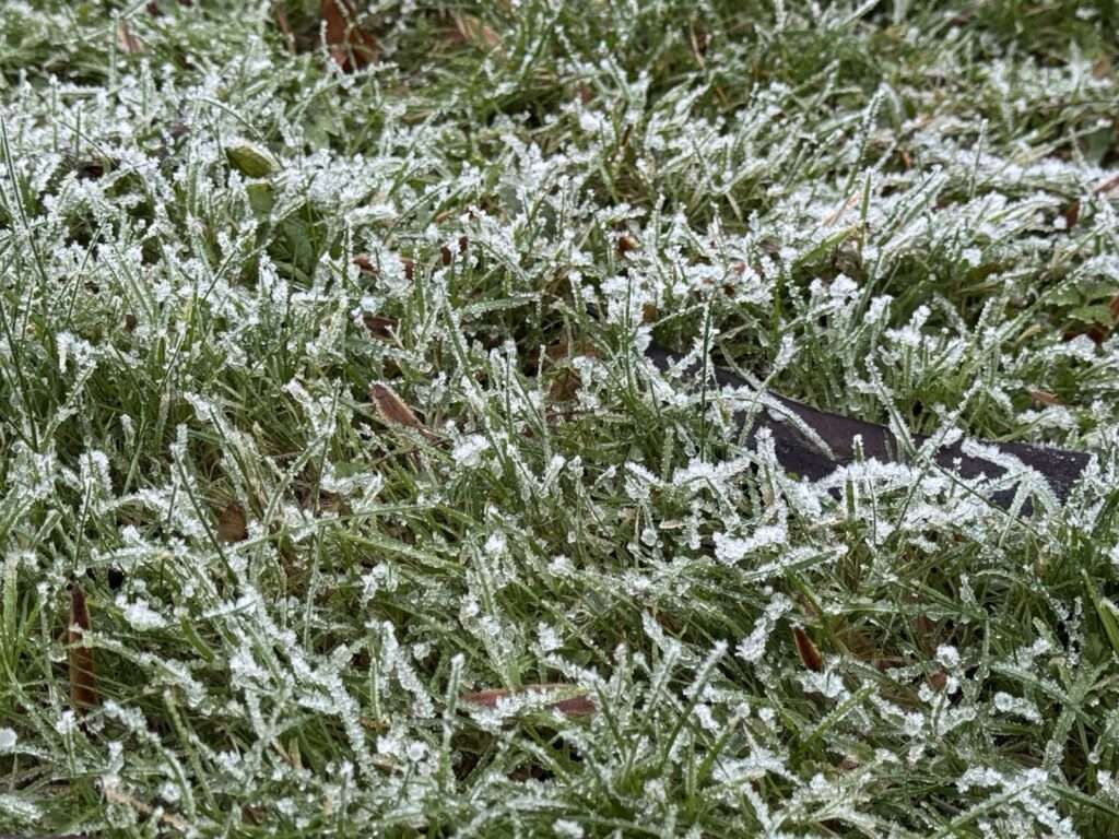 Silvesterwalken2025_3