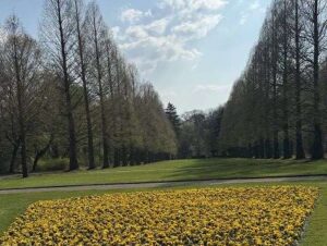 Park von Schloß Berge