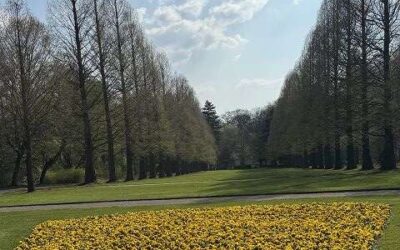 Himmelstouren 2026 – Ein Stück vom Himmel