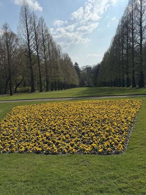 Park von Schloß Berge