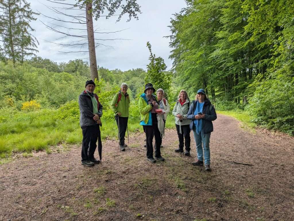 kurze Pause im Wald