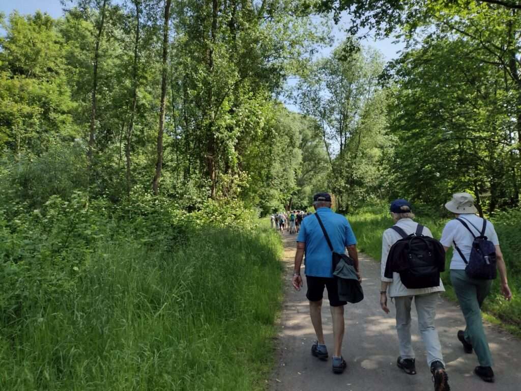 Kaiserpark Altenessen
