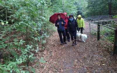 Wanderung bei Witten im September 2026