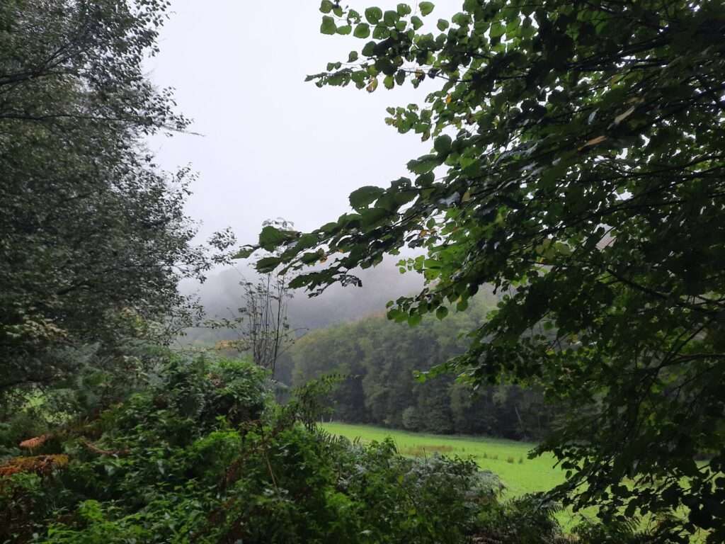 Wanderung Elfr.Schweiz1 10_26 (1)