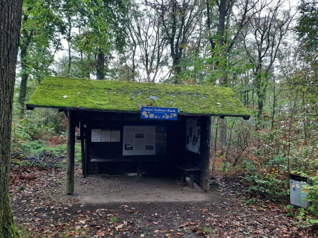Wanderung Elfr.Schweiz6 10_26